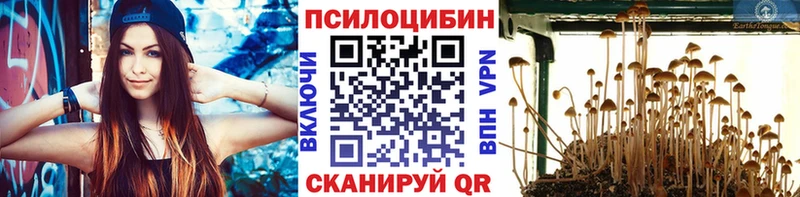 blacksprut вход  сколько стоит  Перевоз  Галлюциногенные грибы Cubensis 